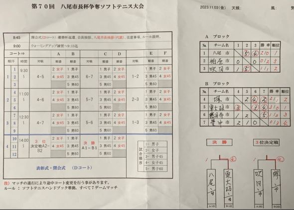 ��V�O�񔪔��s���t���D�e�P�\�t�g�e�j�X���